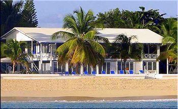 The Horny Toad Guest House