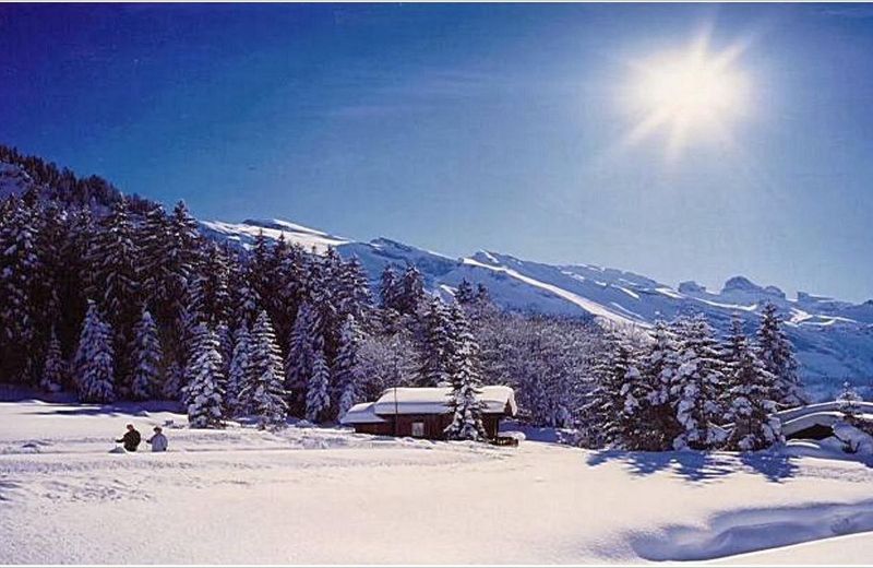 Chalet Bergmandli