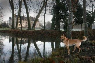 Outdoor Pictures 16