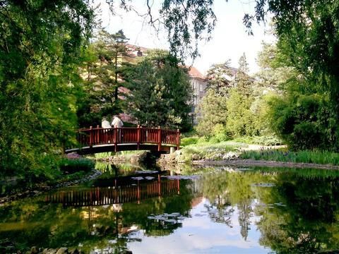 Outdoor Pictures 19