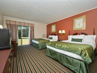 Hotel Image 4