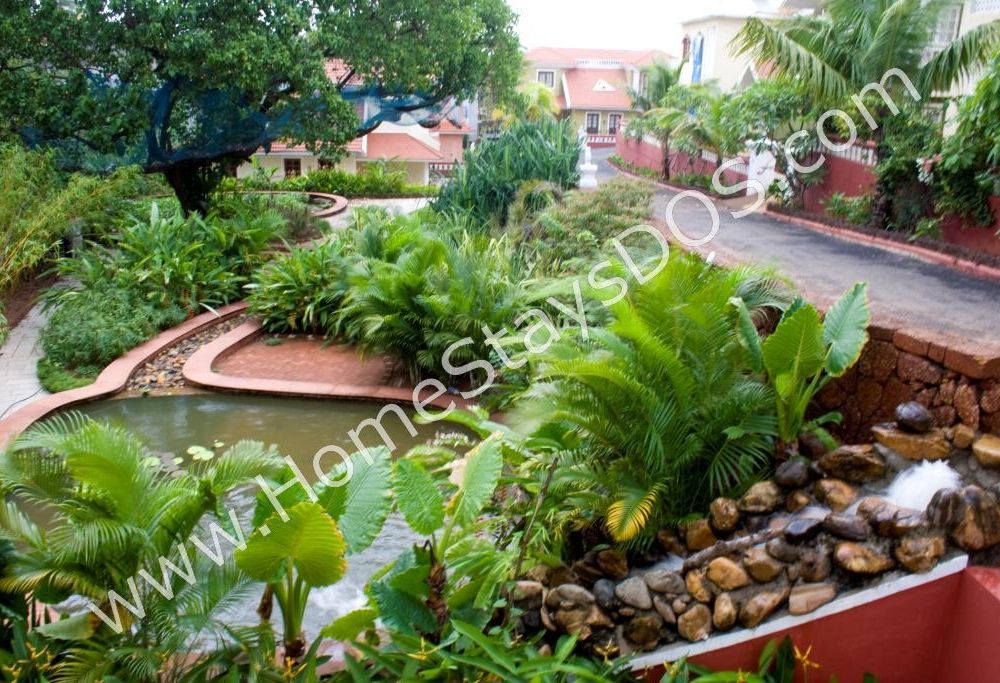 Outdoor Pictures 11