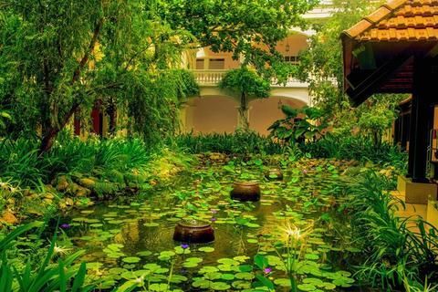 Outdoor Pictures 22