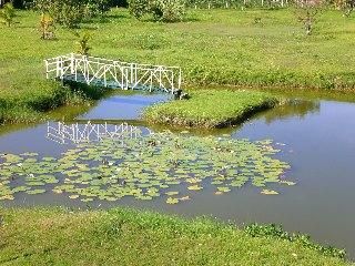 Outdoor Pictures 18