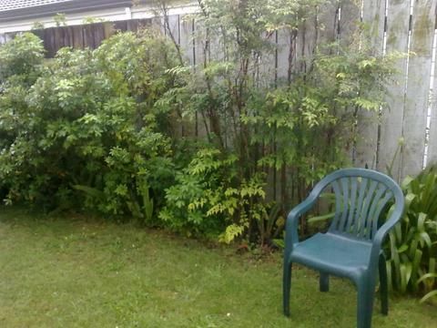 Outdoor Pictures 11