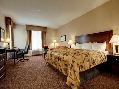 Comfort Inn & Suites Surrey