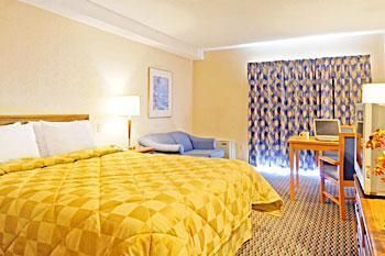 Comfort Inn Levis