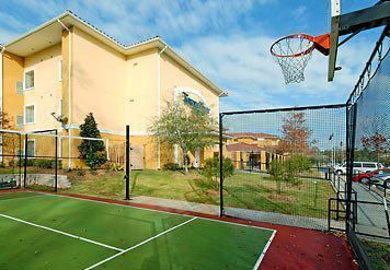 Outdoor Pictures 19