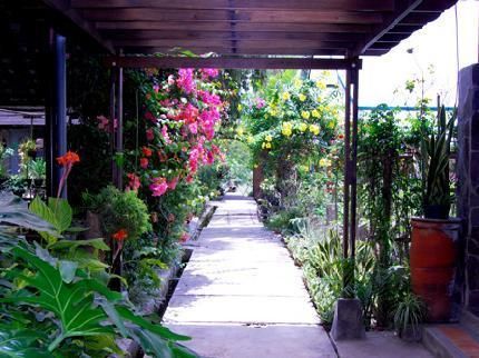 Outdoor Pictures 11