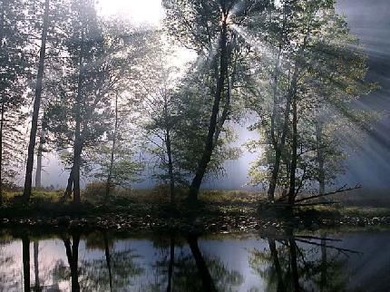 Outdoor Pictures 20