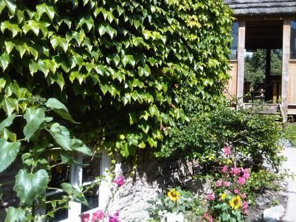 Outdoor Pictures 10