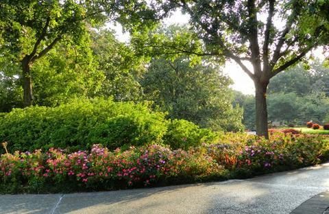 Outdoor Pictures 21