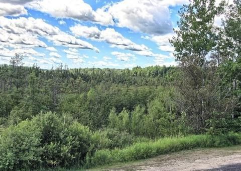 Outdoor Pictures 21