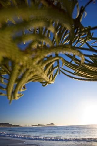 Outdoor Pictures 21