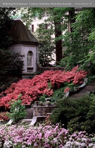 Outdoor Pictures 20