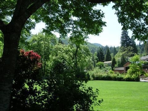 Outdoor Pictures 20