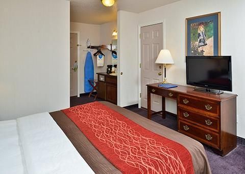 Comfort Inn Central Weed