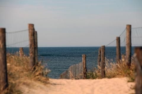 Outdoor Pictures 21