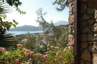 Outdoor Pictures 18