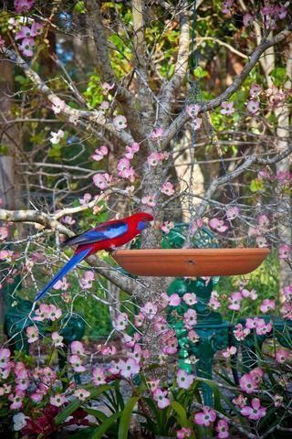 Outdoor Pictures 20