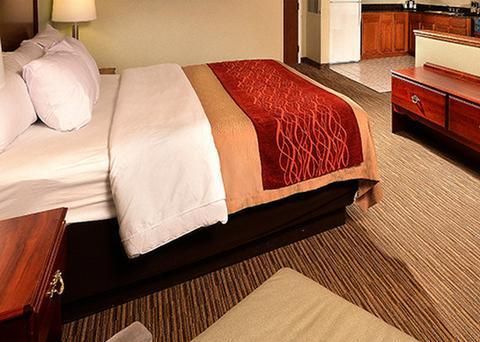 Comfort Inn Schererville