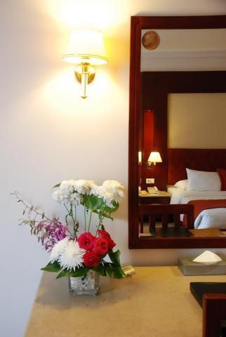 Safir Hotel Cairo