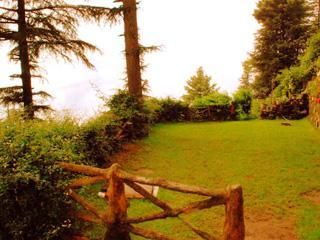Outdoor Pictures 18