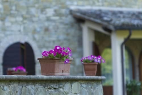 Outdoor Pictures 15