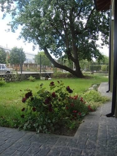 Outdoor Pictures 15