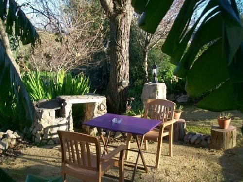 Outdoor Pictures 9