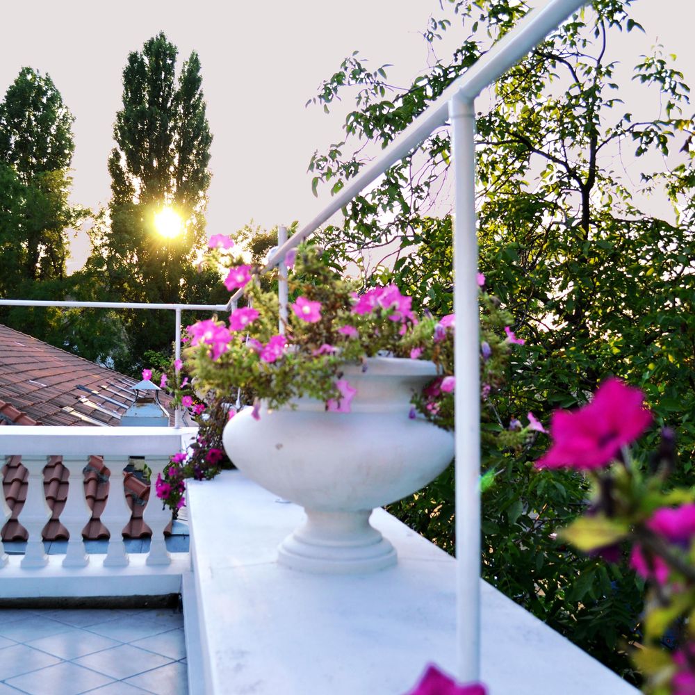 Outdoor Pictures 24