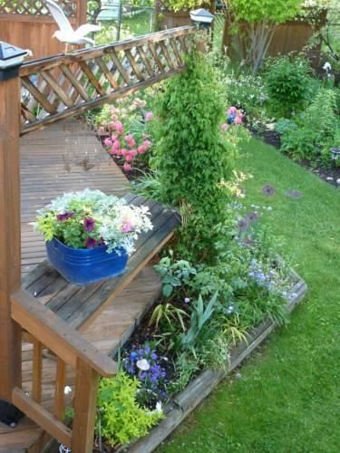 Outdoor Pictures 8