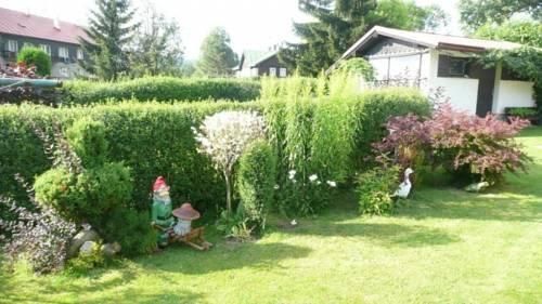Outdoor Pictures 8