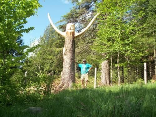 Outdoor Pictures 18