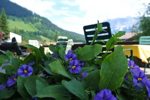 Outdoor Pictures 24