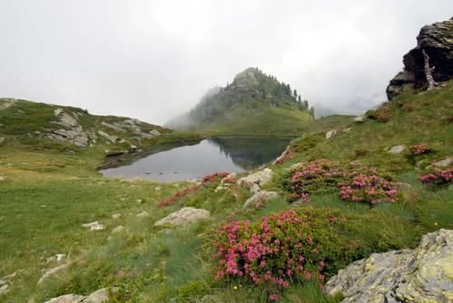 Outdoor Pictures 20