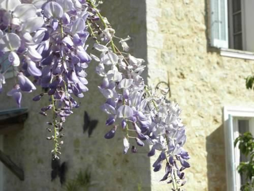 Outdoor Pictures 10