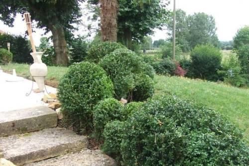 Outdoor Pictures 11