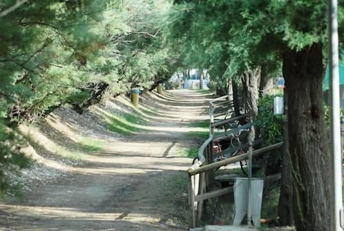 Outdoor Pictures 8