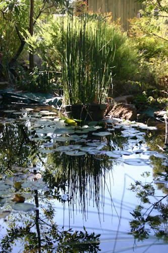 Outdoor Pictures 23