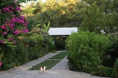 Outdoor Pictures 9