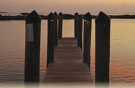 Outdoor Pictures 13