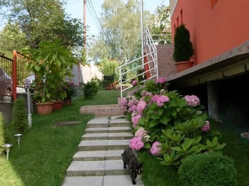 Outdoor Pictures 18