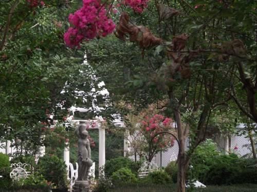 Outdoor Pictures 10