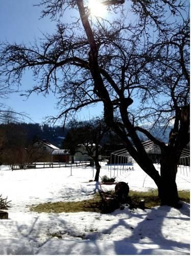 Outdoor Pictures 23