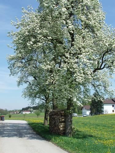 Outdoor Pictures 10