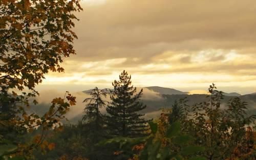 Outdoor Pictures 20