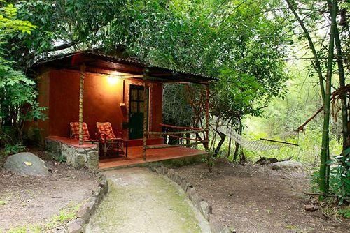 Outdoor Pictures 22