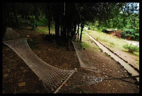 Outdoor Pictures 19