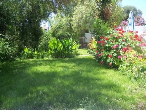Outdoor Pictures 16